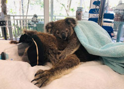 Joondalup Health Campus donations